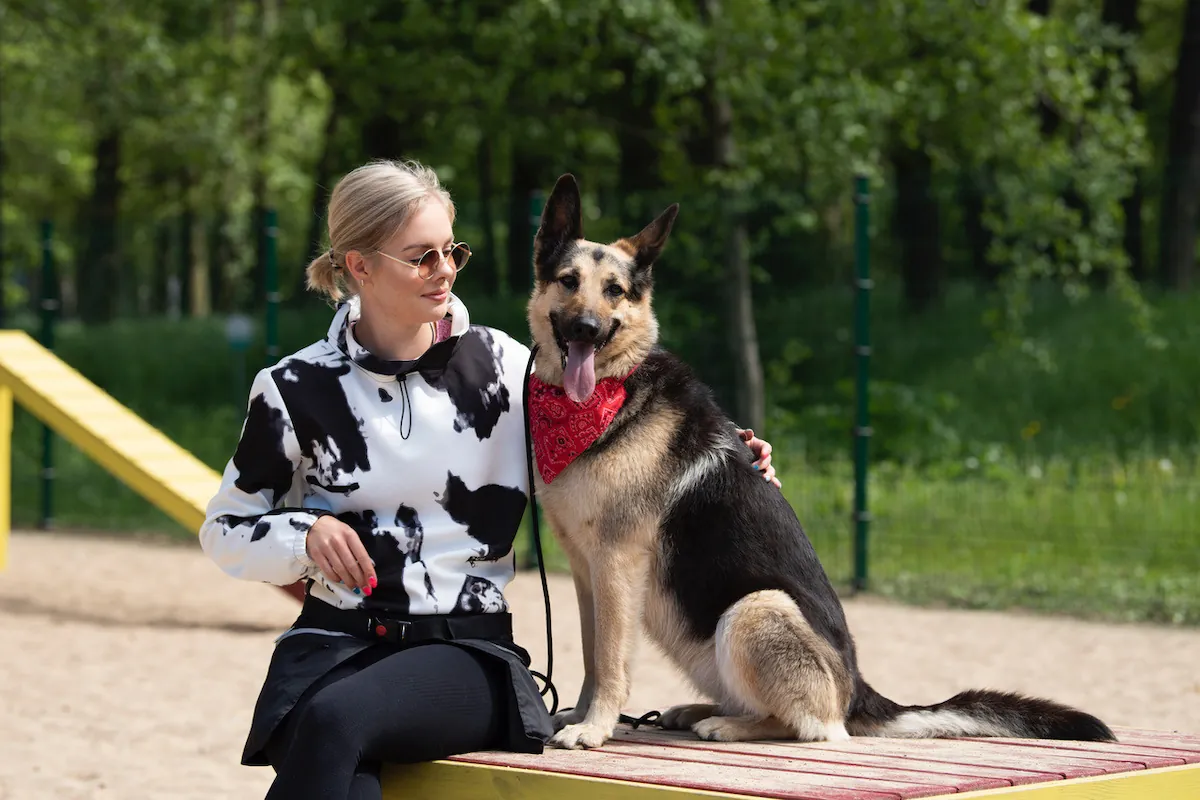 Ekspert selgitab: kas robottolmuimeja ja lemmikloom sobivad kokku?